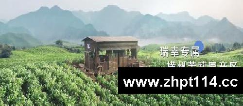 刘亦菲请你喝下午茶
